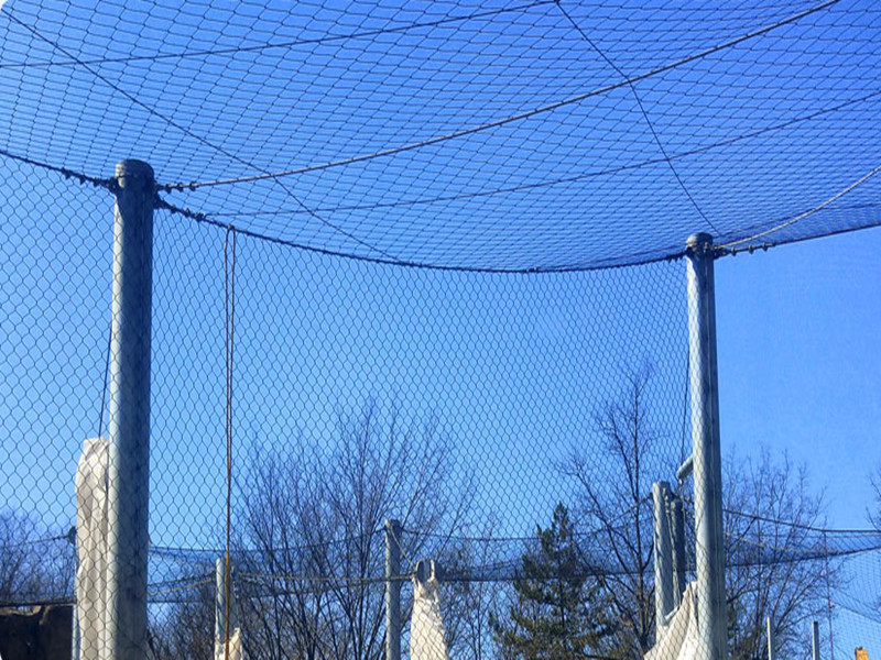 Bird park wire rope aviary netting