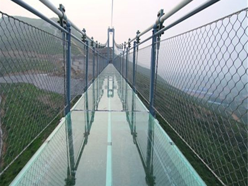 Bridge fence mesh