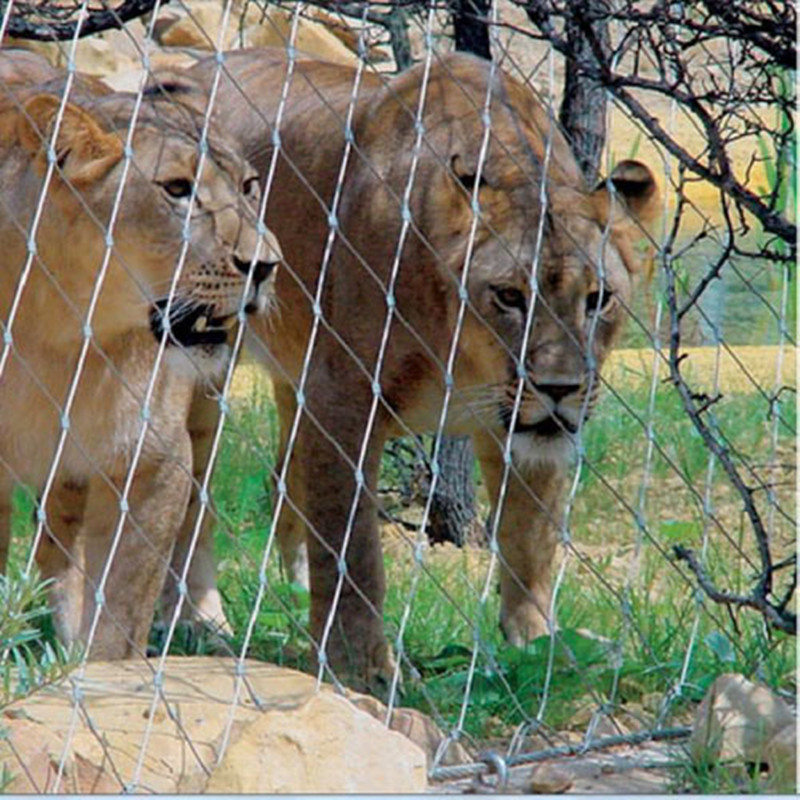 Lion safety isolation mesh