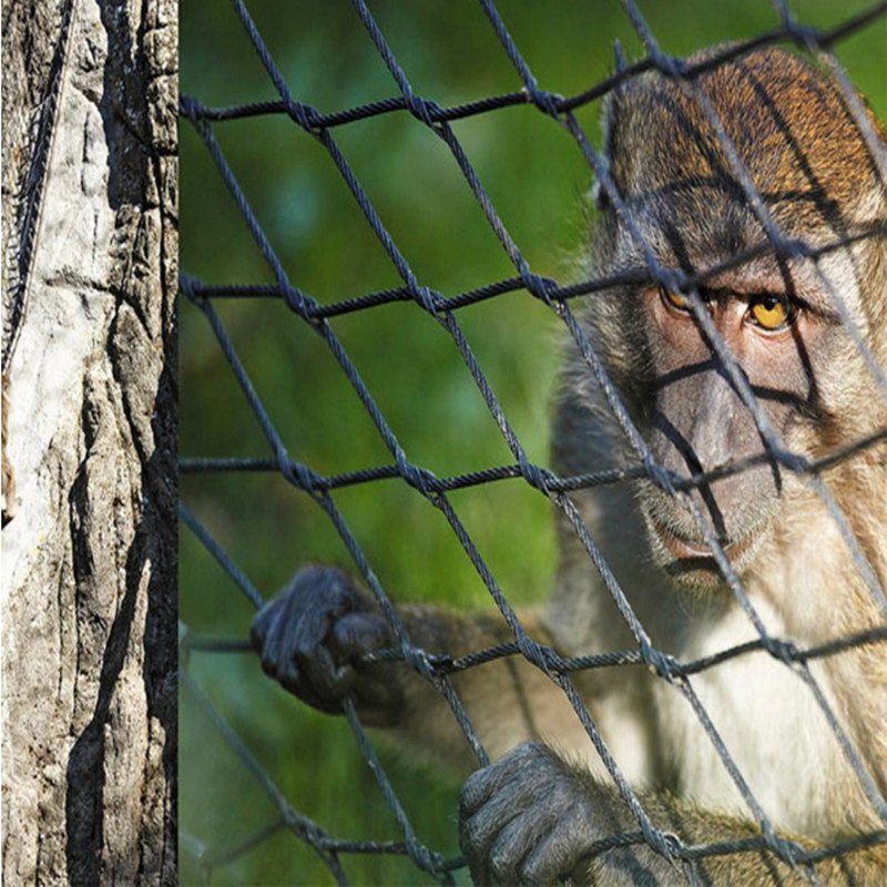 Stainless steel rope net used for monkey enclosure mesh